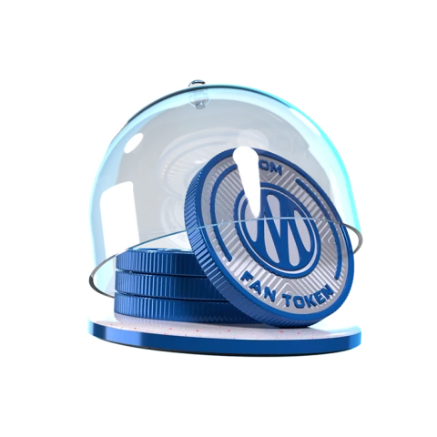 OM coin in dome